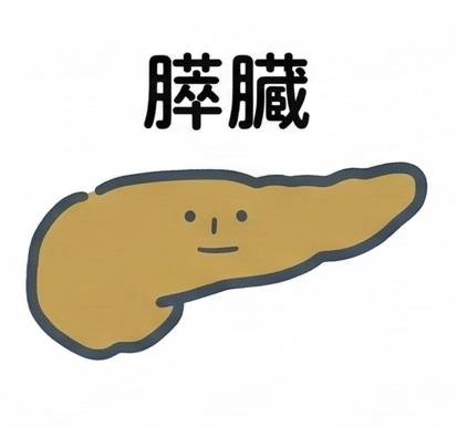 膵臓